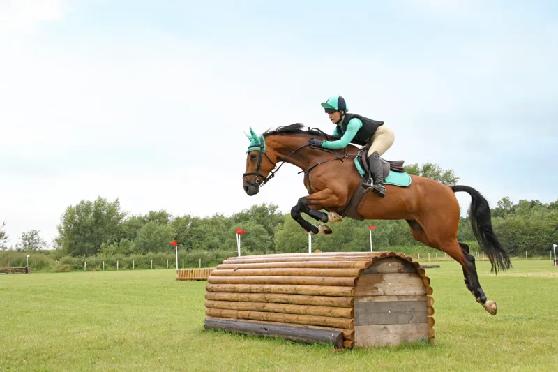 Hy Equestrian Armoured Guard Pro Reaction Tendon Boot - Black-4